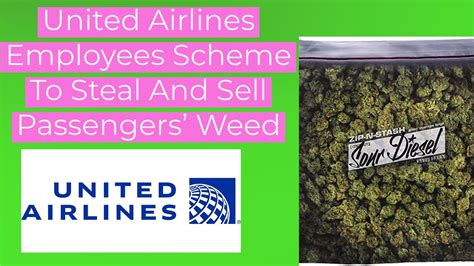 United Airlines employees allegedly conspired to steal marijuana from baggage, unaware that both the feds and local robbers were onto them